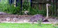 IMG_2096-1.jpg
