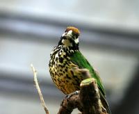 IMG_4981-11.jpg