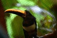 IMG_4972-11.jpg