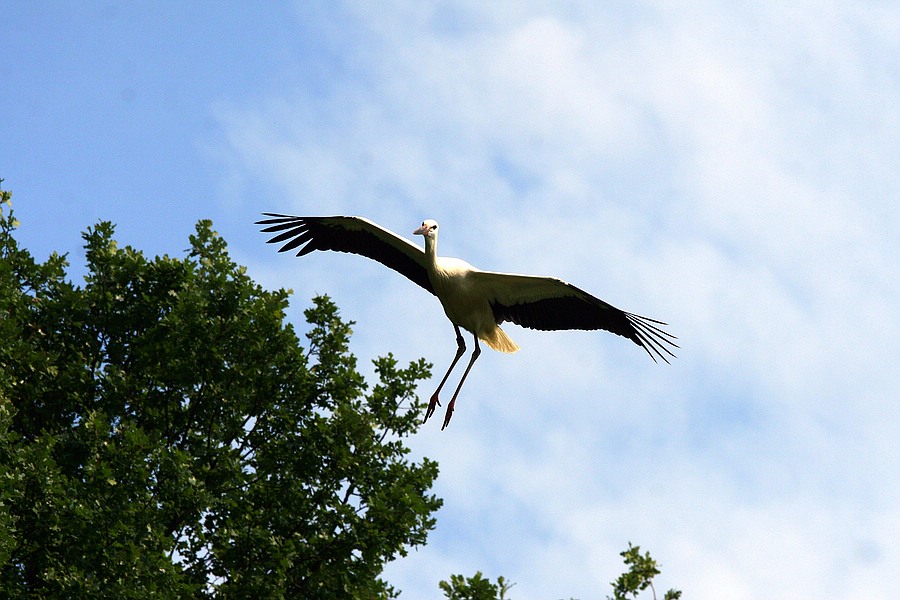 IMG_8134.jpg
