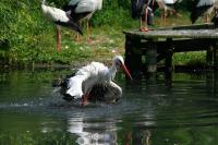 IMG_8147.jpg