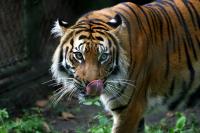 IMG_8258.jpg
