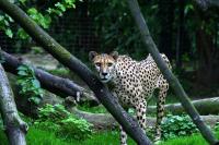 IMG_0056.jpg