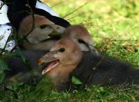 IMG_1270.jpg