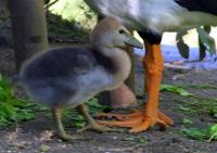 IMG_1686.jpg
