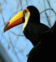 IMG_1726.jpg