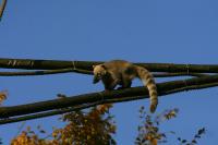IMG_2874.jpg