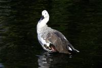 IMG_2661.jpg