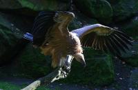 IMG_4399-1.jpg