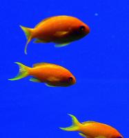 IMG_5362-1.jpg
