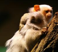 IMG_5640.jpg