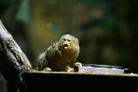 IMG_9149-11.jpg