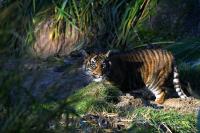 IMG_0397-11.jpg