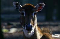 IMG_0948-11.jpg