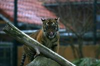 IMG_1575.jpg