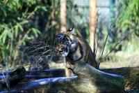 IMG_3757-11.jpg