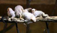 IMG_5070-11.jpg