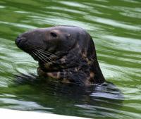 IMG_6487-11.jpg