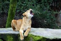 IMG_6623-11.jpg