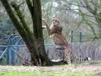 IMG_6920-11.jpg