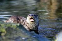 IMG_1434-11.jpg