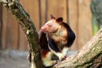 IMG_2520-11.jpg