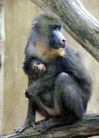 IMG_40171.jpg