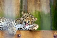 IMG_40761.jpg