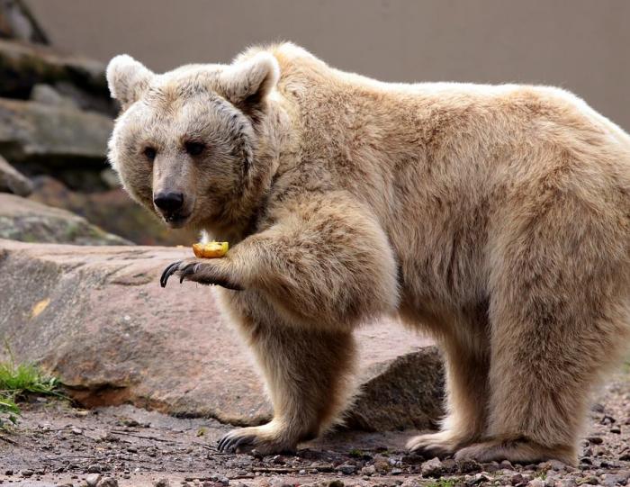 IMG_41581.jpg