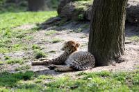 IMG_47491.jpg