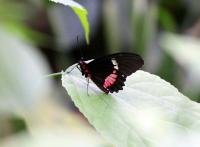 IMG_6531.jpg