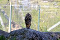 IMG_7120-1.jpg