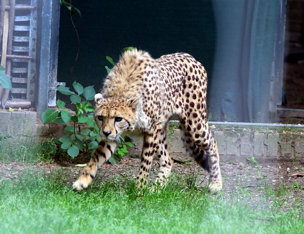 IMG_1287.jpg