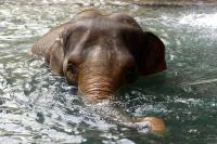 Fotos aus dem Leipziger Zoo