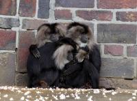IMG_8382-1.jpg