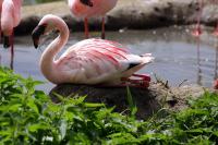 IMG_8499-1.jpg
