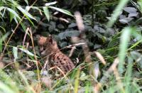 IMG_3989-11.jpg