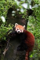 IMG_4017-11.jpg