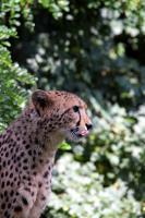 IMG_4084-11.jpg