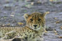 IMG_8947-11.jpg