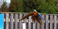 IMG_0095-11.jpg