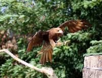 IMG_0207-11.jpg