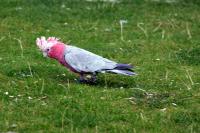 IMG_0303-11.jpg