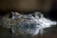 IMG_0540-11.jpg
