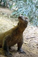 IMG_0611-11.jpg