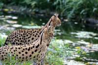 IMG_3863-11.jpg