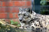 IMG_4705-11.jpg