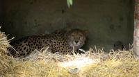 IMG_5339-11.jpg