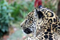IMG_65851.jpg