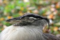 IMG_71121.jpg